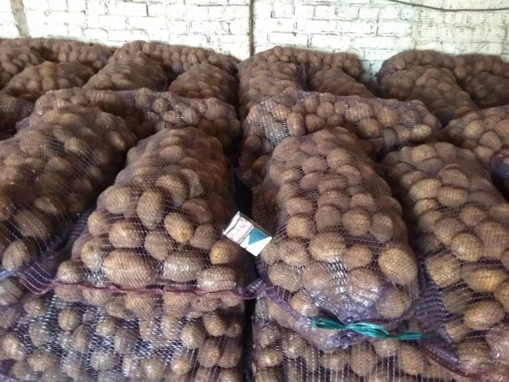 картофель  в Ижевске