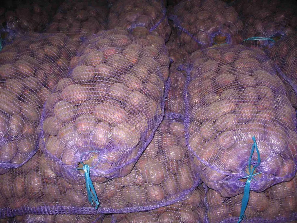 картофель оптом от производителя. в Ижевске
